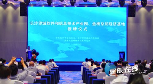 望城軟件園揚(yáng)帆起航，專項(xiàng)扶持政策助力信息技術(shù)服務(wù)業(yè)騰飛