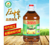 物理食用植物油 從壓榨到餐桌的健康密碼